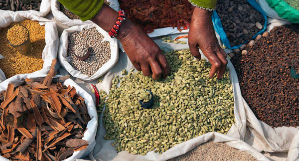 5 Herbs that Support Digestion (and Taste Amazing Too)