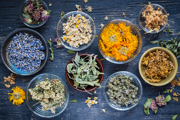 Herbs That Help You Sleep Naturally
